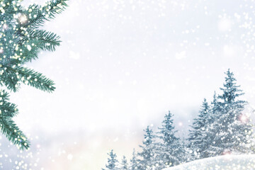 Congratulation. Greeting card. Landscape. Winter forest with Christmas bokeh. Trees in snow.