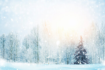 Christmas. Winter landscape with snow-covered trees. Forest in cold weather.