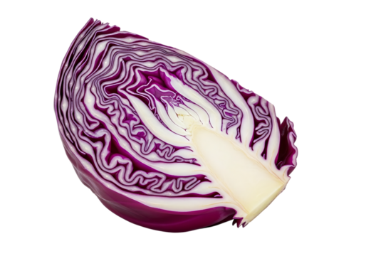 A vibrant quarter wedge of fresh red cabbage, showcasing its deep purple and white layered interior, isolated on transparent background