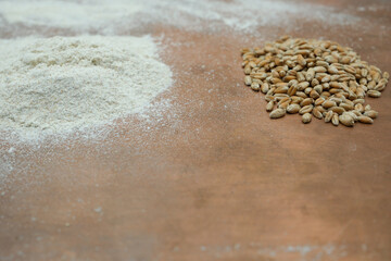 A pile of organic whole grain flour and wheat grains on a metal copper surface. Industrial style. From grain to flour. Shallow depth of field. Copy space. 