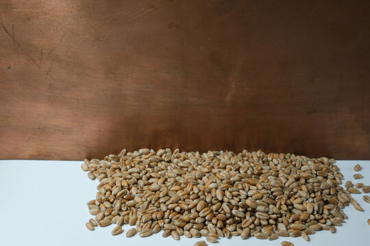 Wheat grain is poured on a white surface. Copper background. Selective focus. Suitable for infographics, presentations.