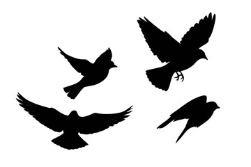 Two Sparrows Flying Silhouette With Transparent Background