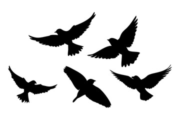 Two Sparrows Perched Silhouette on White Background