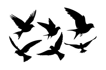 Obraz premium Two Sparrows Perched Together bird silhouette