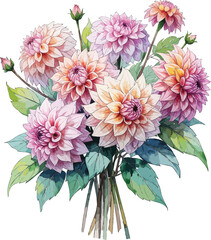 handdrawn watercolor cluster of dahlias with mixed blooms and leaves