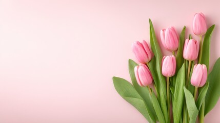 Obraz premium A Beautiful Bouquet of Soft Pink Tulips on a Subtle Pink Background, Perfectly Arranged for a Spring Floral Decoration or Gift Presentation
