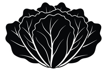 lettuce vector icon illustration on white