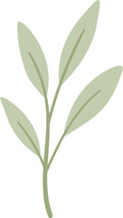 A green leafy plant with a stem