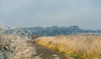 Natur im November am Stadtrand bei Frost und Reif auf Wiesen und Felder