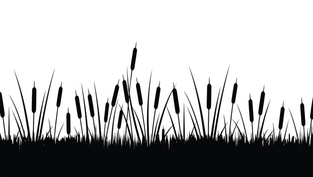Cattail marsh grass silhouette landscape vector illustration