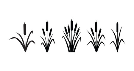 Set of bulrush silhouette vector illustration