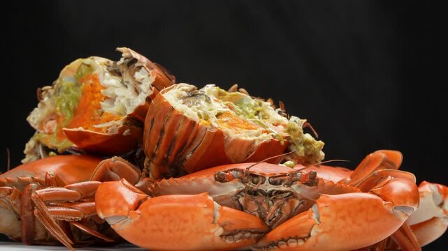Close-up of steaming Vietnamese female crabs (Roe crab) rotating. Broken crab shows orange roe inside. Hot boiled premium seafood isolated on black background.