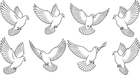Flying dove vector set, peace bird illustration, line art silhouette, spiritual symbol, olive branch, freedom concept, minimalist animal drawing, stock design