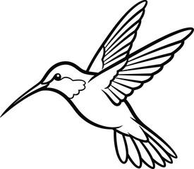 Hummingbird line art, flying bird illustration, black and white vector, nature sketch, wildlife drawing, educational coloring page, minimalist animal design