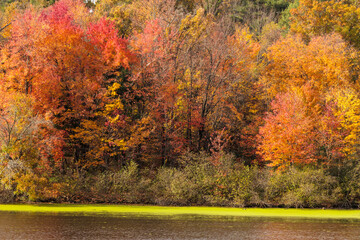 The colorful autumn shoreline of Mirror Lake within Mirror Lake State Park, Wisconsin Dells, Wisconsin in mid-October