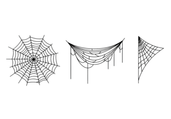 spider web png