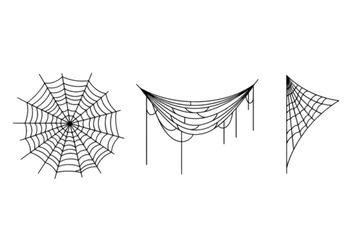spider web png