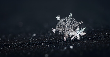 Intricate hexagonal ice crystal snowflake macro photograph showcasing delicate crystalline structure against a dark background