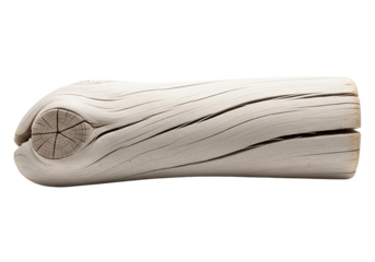 A weathered piece of driftwood with a distinct knot and natural grain patterns isolated on transparent background