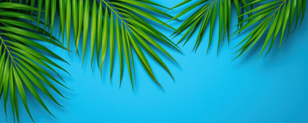 Fototapeta premium Tropical green palm leaves with vibrant blue background create fresh and relaxing summer atmosphere