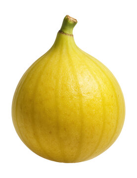 Ripe yellow fig with a slightly rough texture and rounded shape.