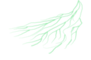 Green branching neural network, veins, or lightning bolt symbol