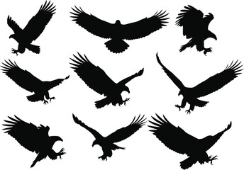 Eagle silhouettes in various flight poses on white background