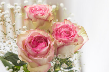 Close-up shot of a bouquet featuring three large, fully bloomed roses. The flowers display vibrant, deep pink centers that smoothly transition into delicate, creamy yellow or white edges on the petals