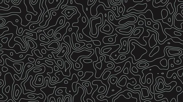 4K Abstract Topographic Background Geo Map Pattern 2d Animated Motion Graphic Video Footage | Topography Background Geo Map Wave Motion Graphic Video Footage | Abstract Topographic Background Video