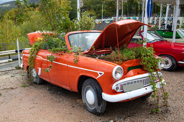 An orange convertible car with hanging plants in the interior and hood of the car on a clear sunny day. Transportation recreation sports hobbies travel.