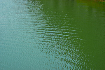 Green Water Surface with Soft Ripples – Natural Texture Background