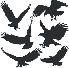 Flying Eagle Silhouette Bundle - Vector Set of 6 Dynamic Poses