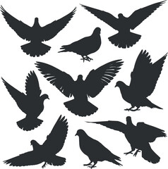 Black pigeon silhouettes in various poses