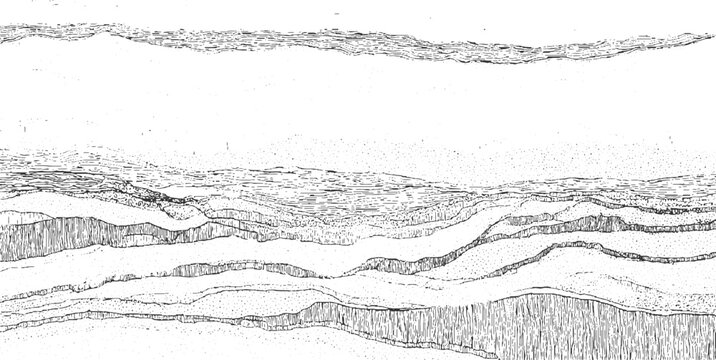 Black and white cross section illustration of layered geological strata with varied textures abstract