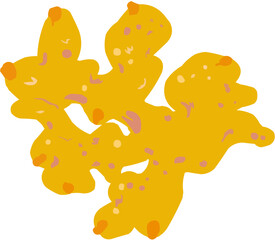 Gingembre Illustration vectorielle colorée d'un légume-racine.Parfait pour jus, smoothies, cocktails, emballage de produits estivaux ou recettes de cuisine..