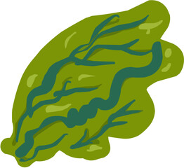 La salade Illustration vectorielle colorée d'un fruit  ou d'un légume.. Parfait pour jus, smoothies, cocktails, emballage de produits estivaux ou recettes de cuisine..