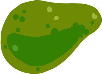 Avocat. Illustration vectorielle colorée d'un fruit  ou d'un légume.. Parfait pour jus, smoothies, cocktails, emballage de produits estivaux ou recettes de cuisine..