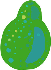 Avocat. Illustration vectorielle colorée d'un fruit  ou d'un légume.. Parfait pour jus, smoothies, cocktails, emballage de produits estivaux ou recettes de cuisine..