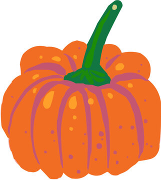 Une citrouille. Illustration vectorielle color&eacute;e d'une courge ou d'un l&eacute;gume rond. Parfait pour jus, smoothies, cocktails, emballage de produits estivaux ou recettes de cuisine..