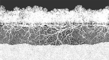 White tree branches and roots pattern on dark gray background vector © Towhidul