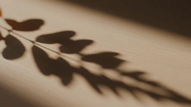 Soft light creates an intricate shadow pattern of a delicate leafy branch on a natural wooden surface, evoking a tranquil and abstract botanical aesthetic