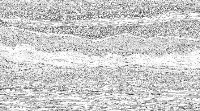 Black and white cross section of geological strata with wavy lines and granular textures geology layers