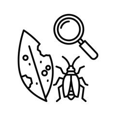 Line icon of insect pest damage on leaf with magnifying glass © RokeyaStock