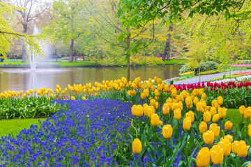 Scenic view of Keukenhof tulip garden in Lisse, Netherlands. Keukenhof is the most beautiful spring garden in the world. Beautiful ornamental garden landscape at Lisse, Netherlands