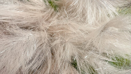 Abstract soft fluffy texture background in white silver pink green and gold with glittering shimmer effect