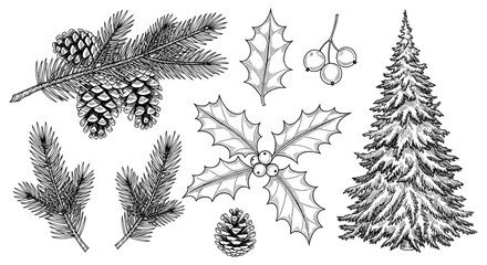Fototapeta premium Handdrawn christmas set with pine, holly, and fir tree, isolated on white background