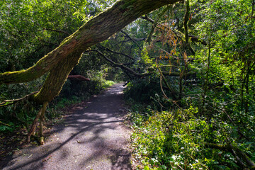 Durrockstock Park, Paisley. Scotland, UK. A Local Nature Reserve which is a refuge for wildlife. An old reservoir provides a variety of habitats for birds and amphibians. A former industrial area. 