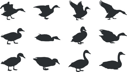Duck and Goose Silhouette Set – Waterfowl Bird Vector Collection in Various Poses