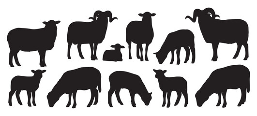 Naklejka premium Sheep & Ram Silhouettes Set