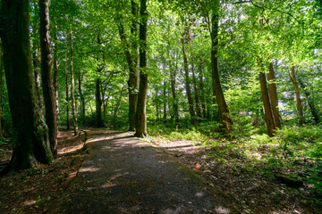 Durrockstock Park, Paisley. Scotland, UK. A Local Nature Reserve which is a refuge for wildlife. An old reservoir provides a variety of habitats for birds and amphibians. A former industrial area. 